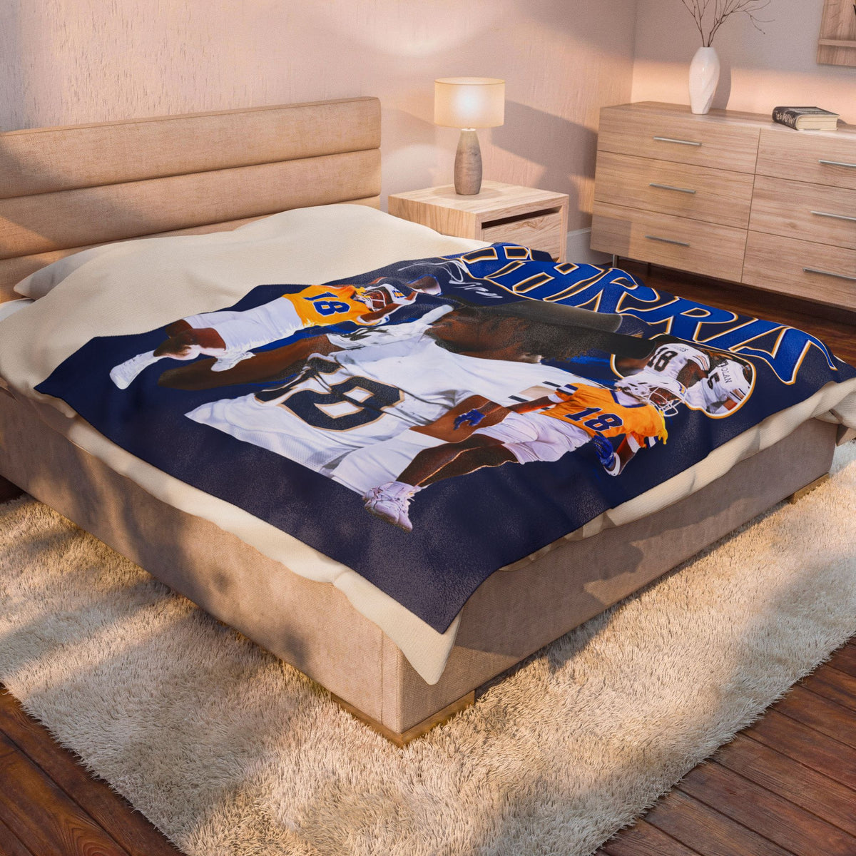 Brian Harris 60"-80" Plush Blanket