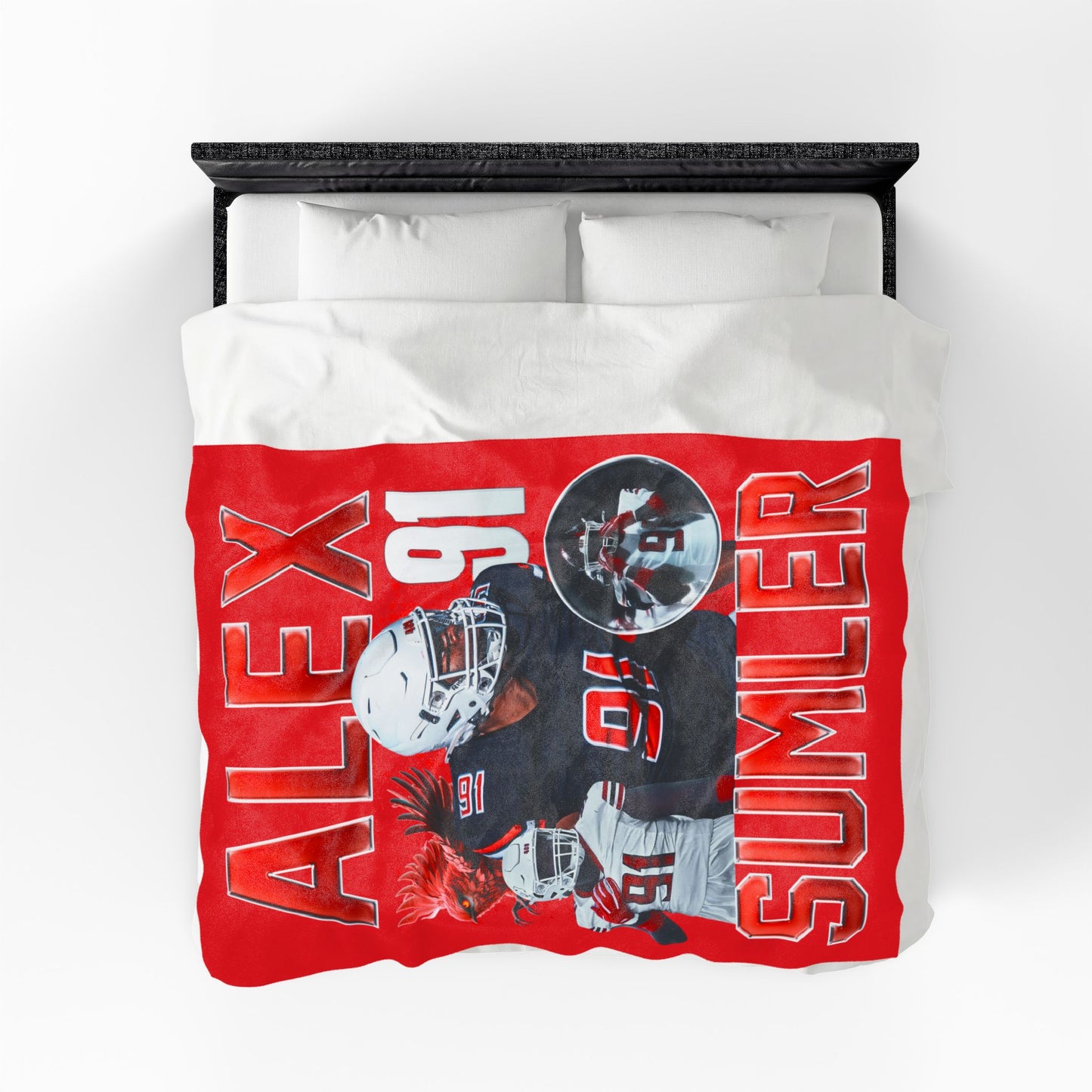 Alex Sumler 60"-80" Plush Blanket