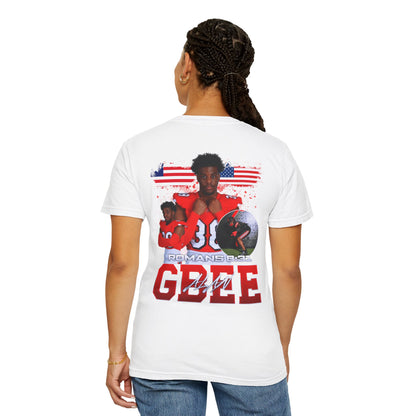 Alan Gbee Logo Front & Back Premium Tee