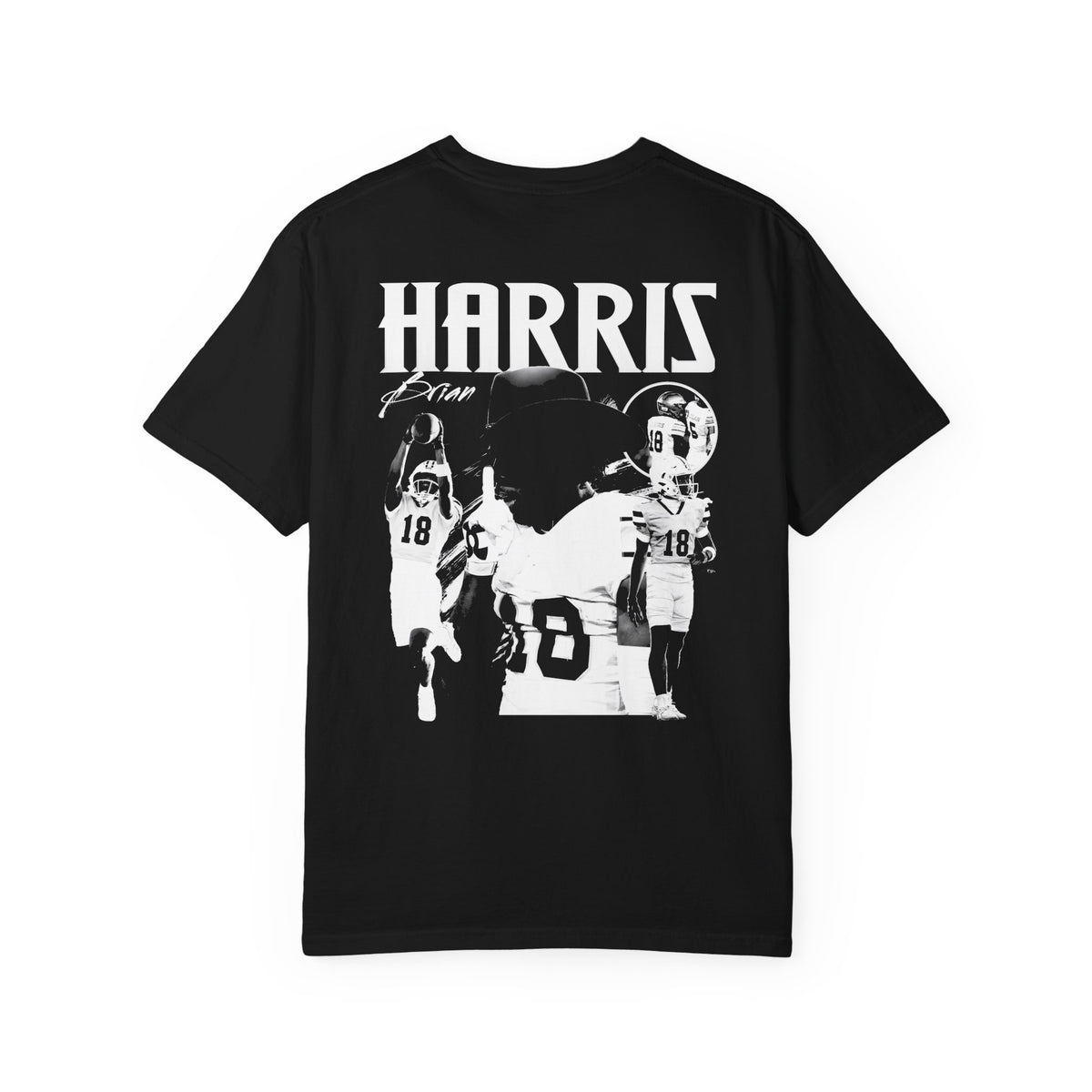 Brian Harris Vintage Blackout Premium Tee
