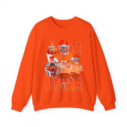 CJ June Crewneck Sweatshirt