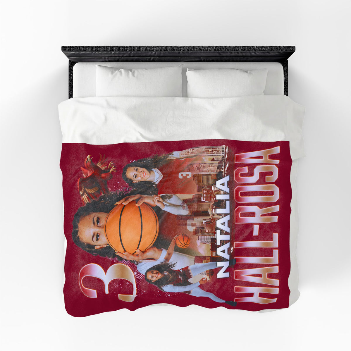 Natalia Hall-Rosa 60"-80" Plush Blanket